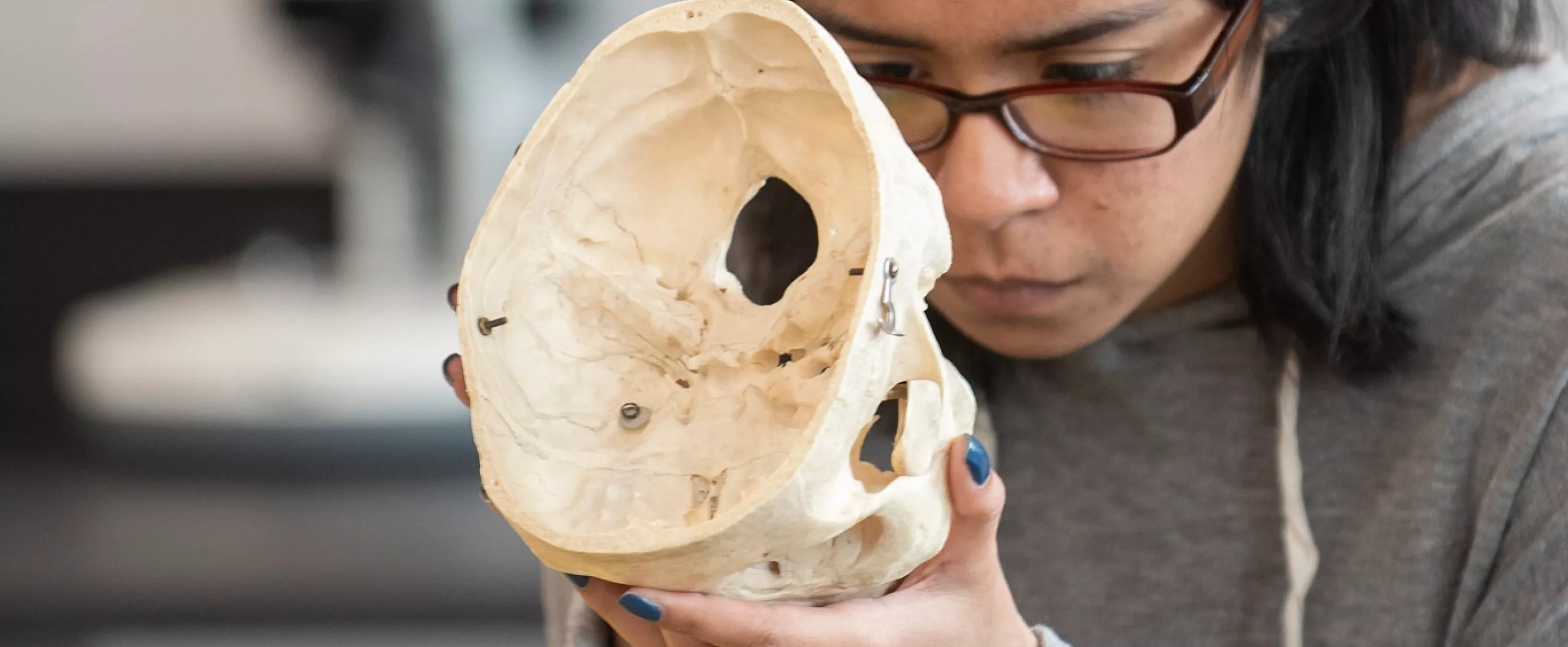 Student works on studying a skull in an Anthropology Lab