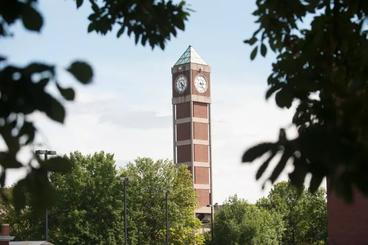 SAC Clock Tower seen through leaves