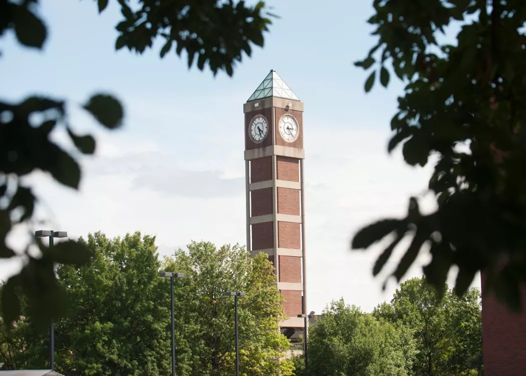 SAC Clock Tower seen through leaves